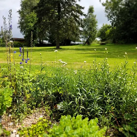 Gruenvogels Landgasthof Zum Gruenen Baum Oberzent