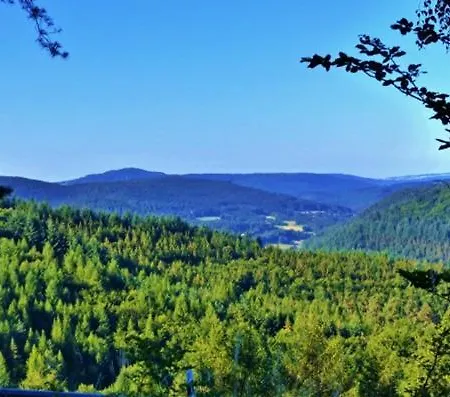 Gruenvogels Landgasthof Zum Gruenen Baum Kro Oberzent