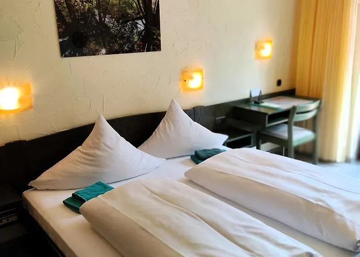 Inn Grünvogels Landgasthof Zum Grünen Baum Oberzent