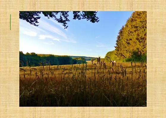 Grünvogels Landgasthof Zum Grünen Baum Inn *