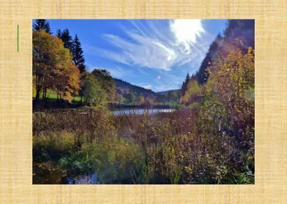 Inn Grünvogels Landgasthof Zum Grünen Baum *