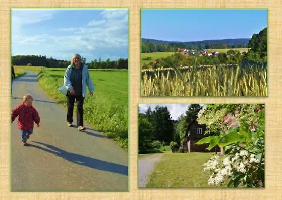 Inn Grünvogels Landgasthof Zum Grünen Baum Oberzent